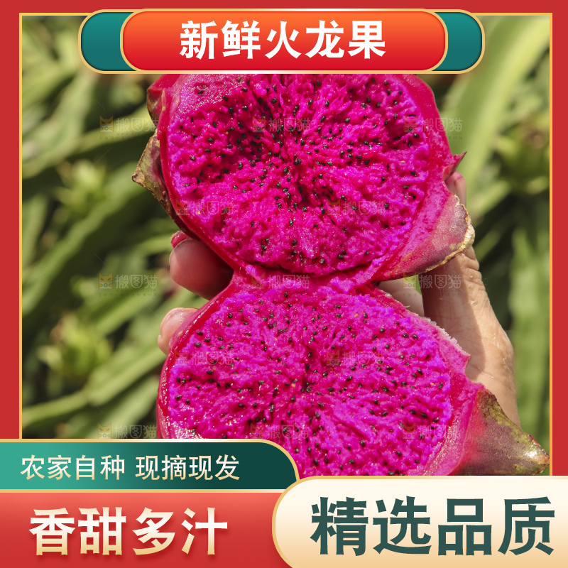 火龙果产地