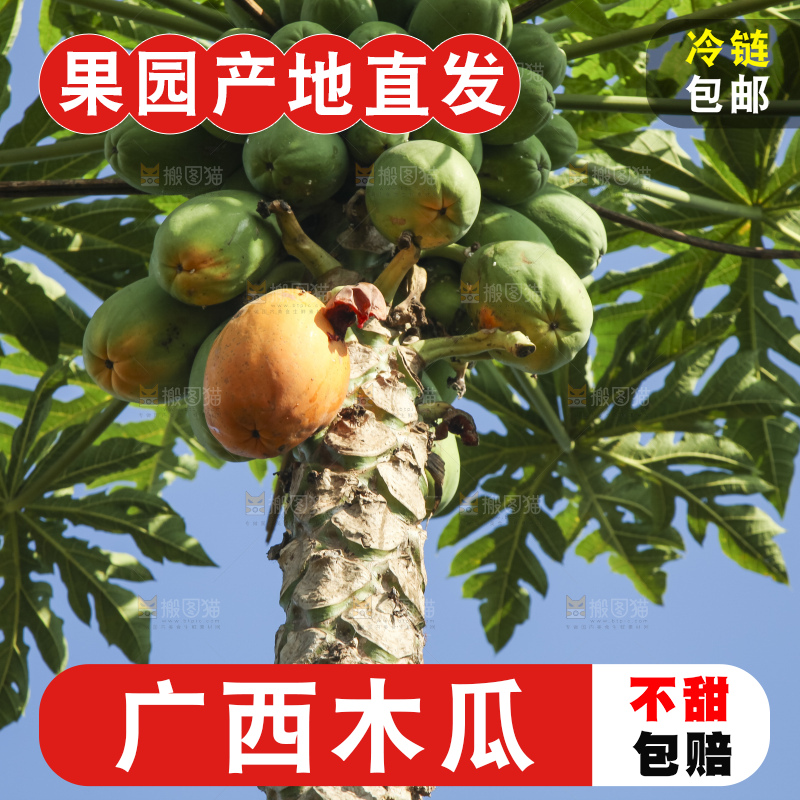 树上的木瓜