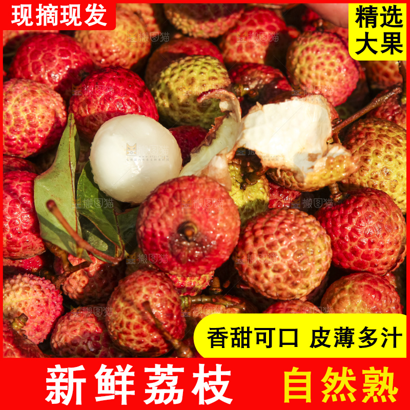 树上的荔枝