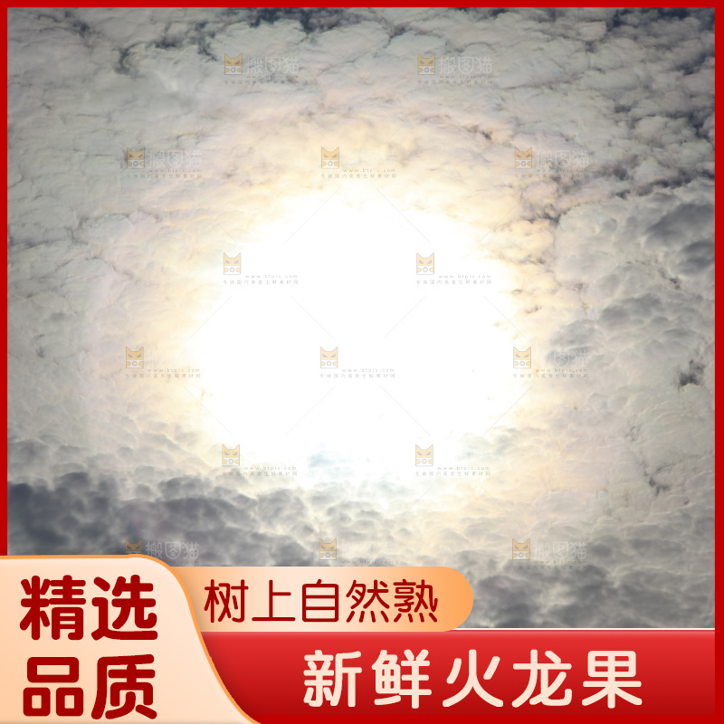 火龙果产地