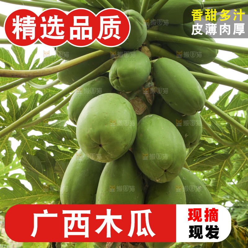 树上的木瓜