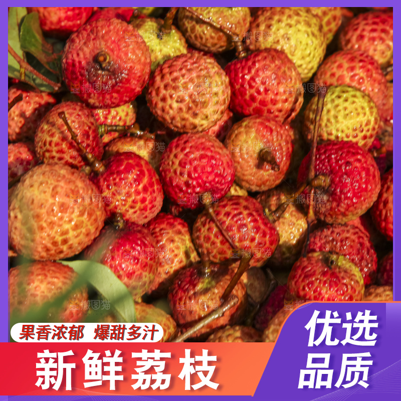 树上的荔枝
