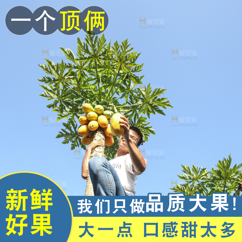 树上的木瓜
