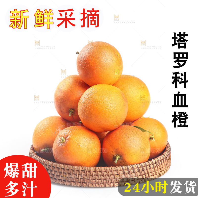白底上的玫瑰血橙
