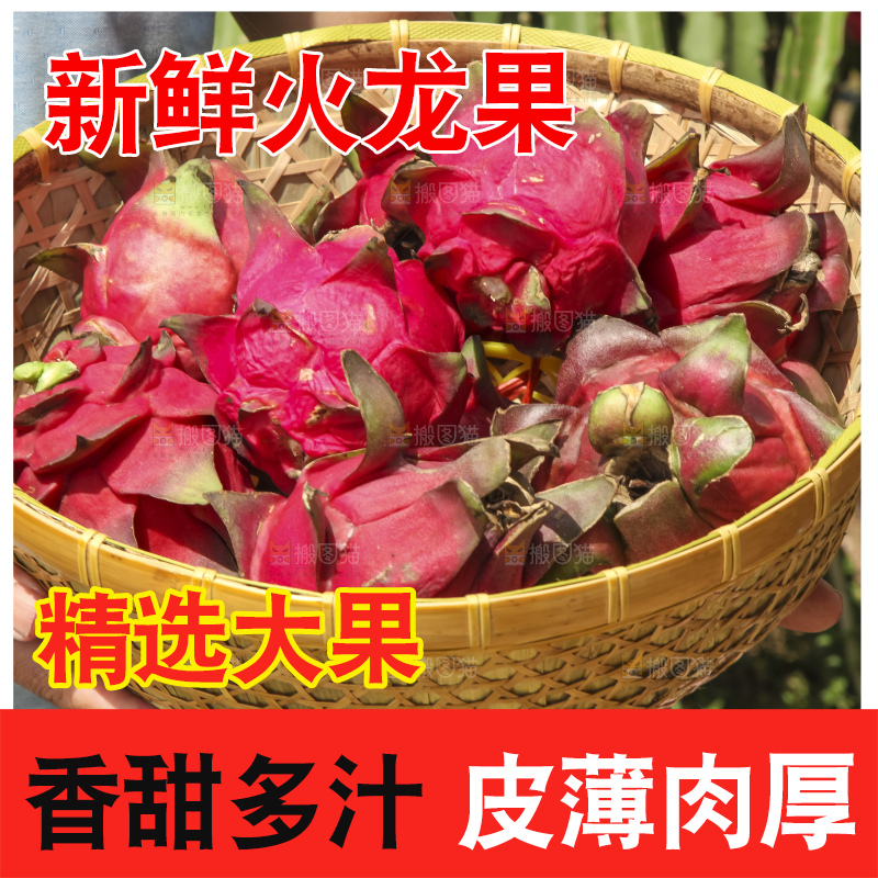 火龙果产地