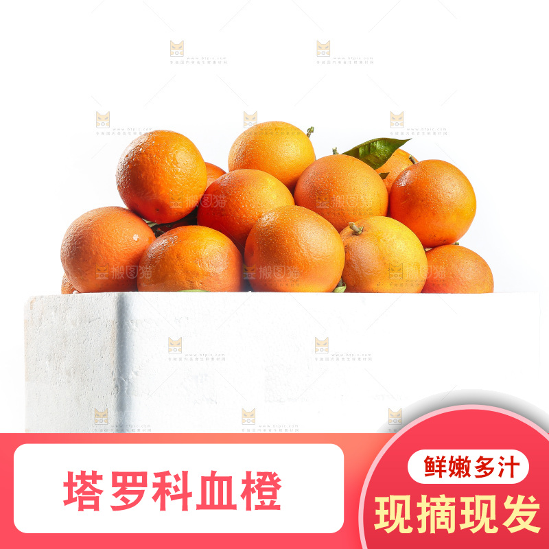 白底上的玫瑰血橙