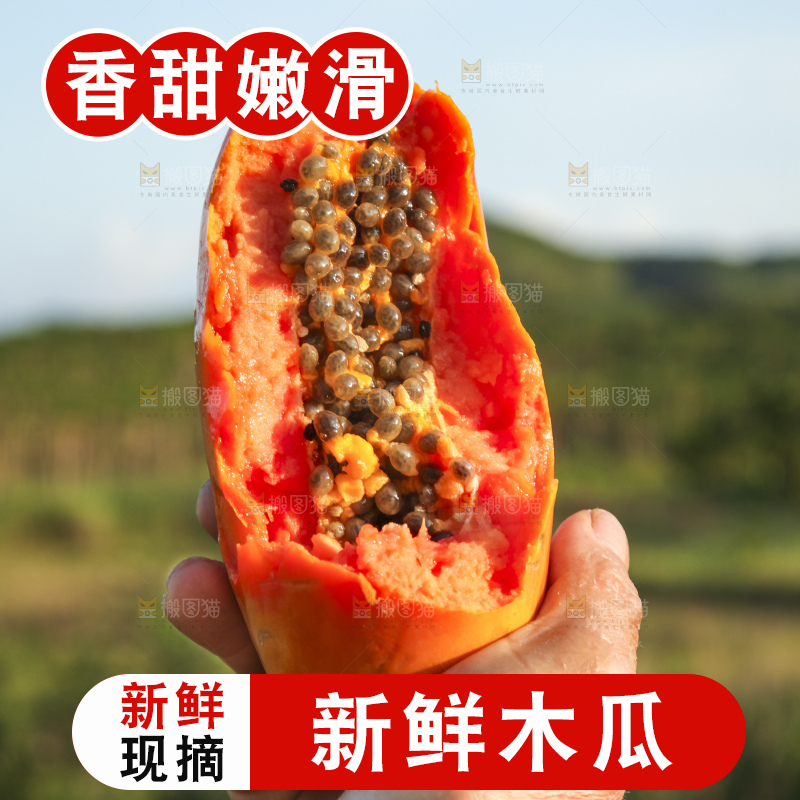 树上的木瓜