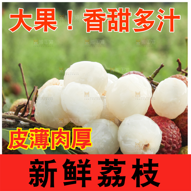 树上的荔枝