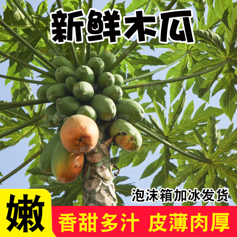 树上的木瓜