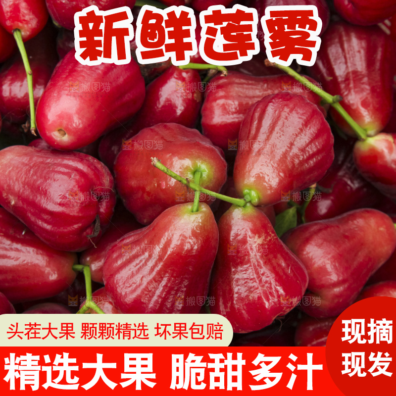 树上的新鲜莲雾