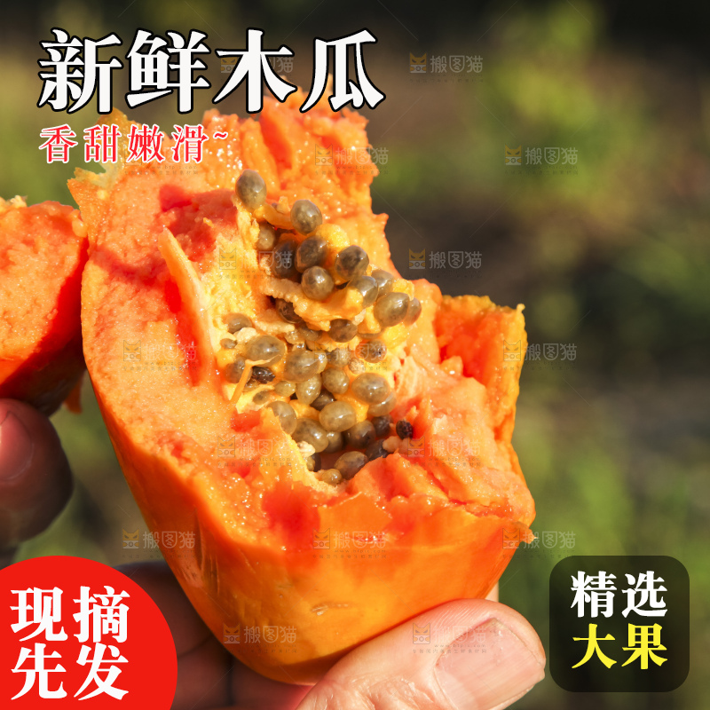树上的木瓜