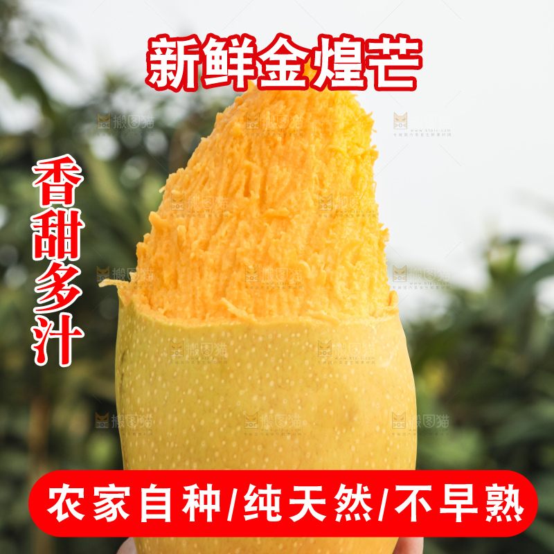 手里拿着金煌芒