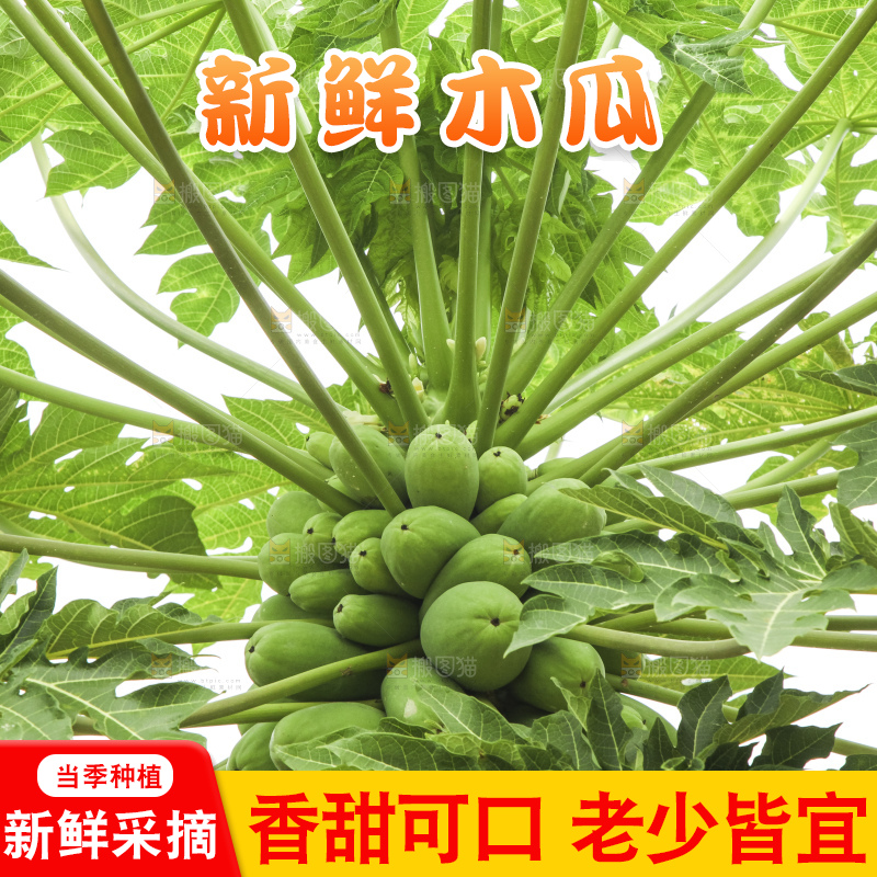 树上的木瓜
