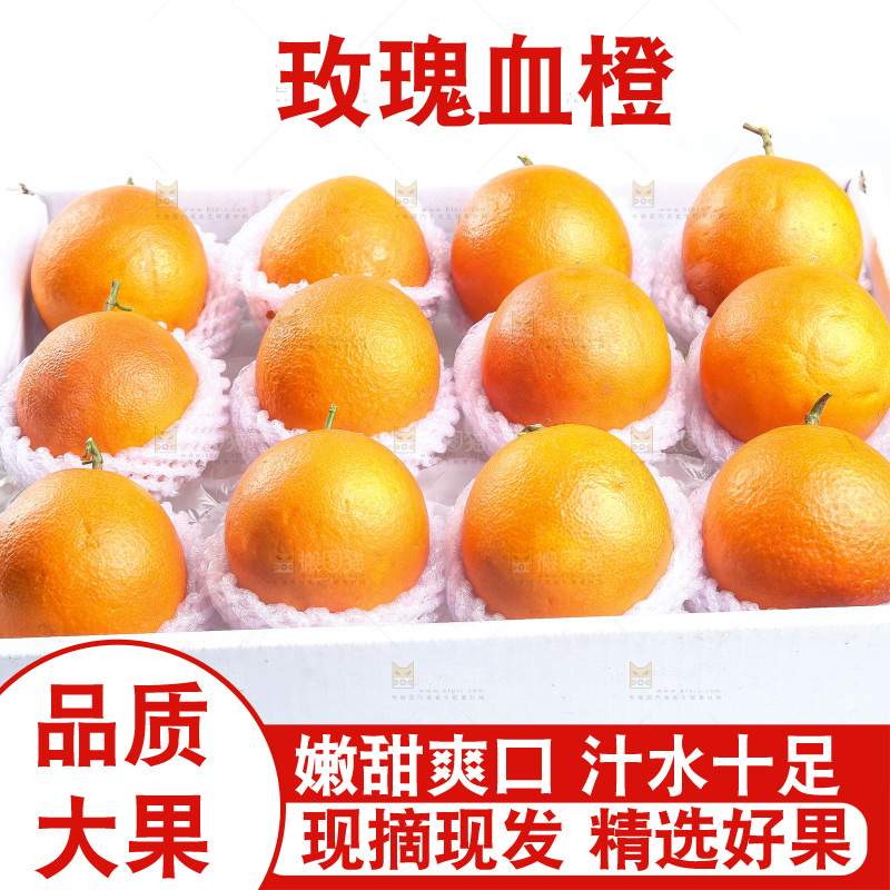 白底上的玫瑰血橙