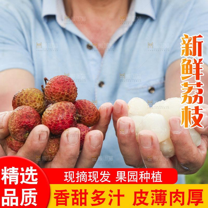 树上的荔枝