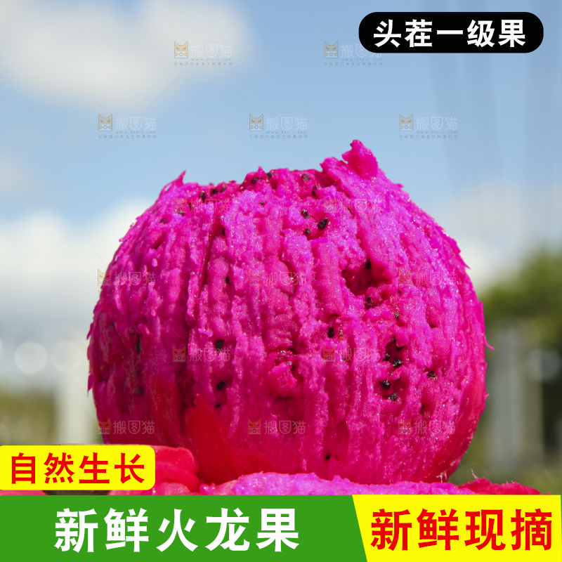 火龙果产地