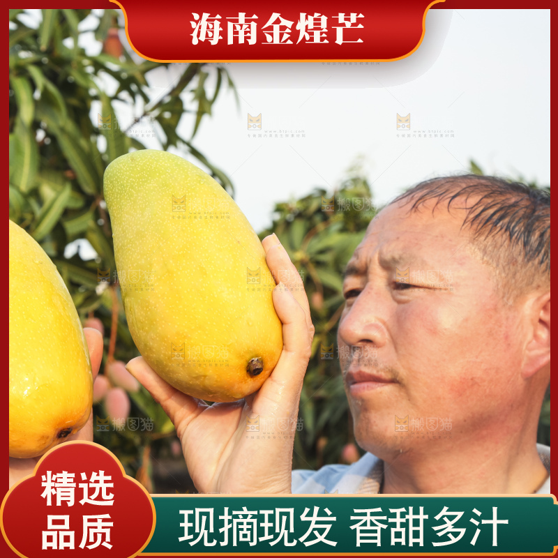 手里拿着金煌芒