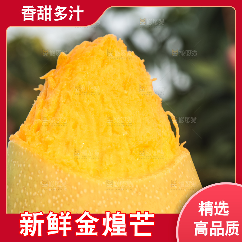 手里拿着金煌芒
