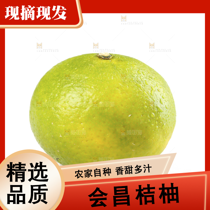 白底上的桔柚