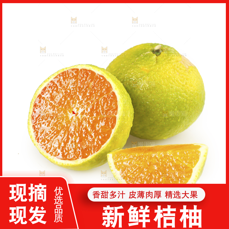 白底上的桔柚