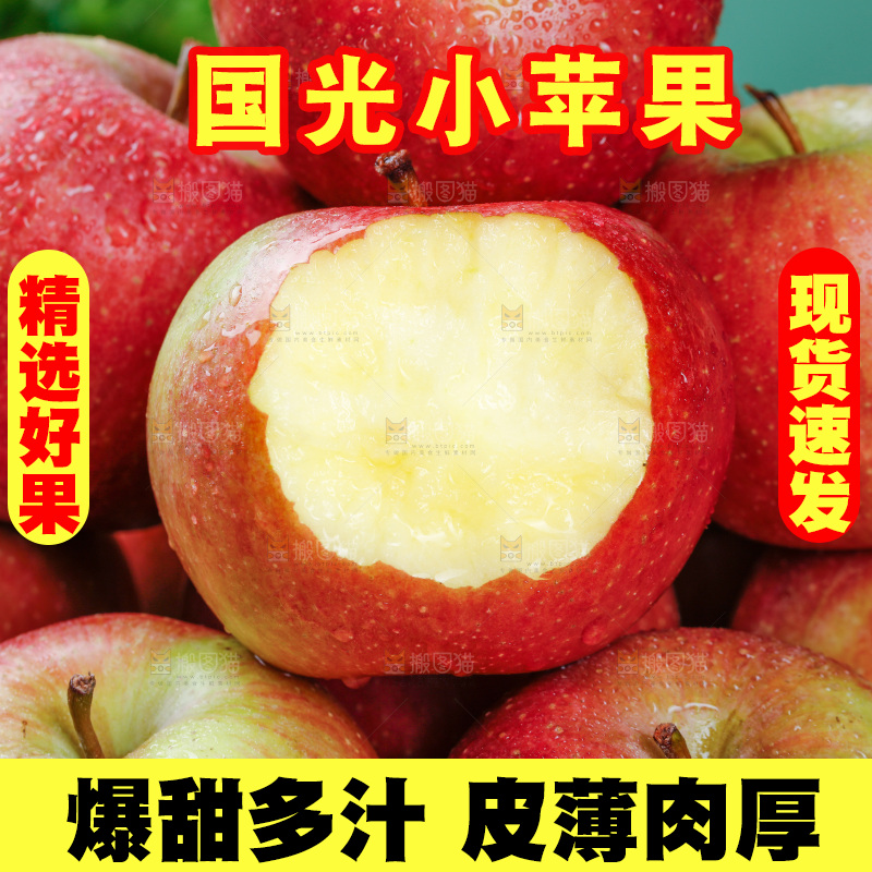 浅底上的国光苹果
