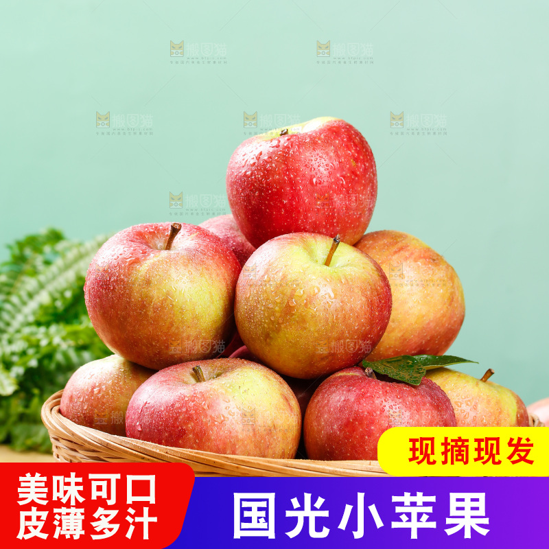 浅底上的国光苹果