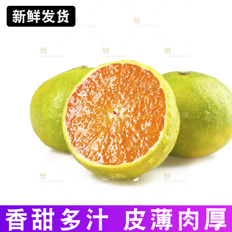 白底上的桔柚