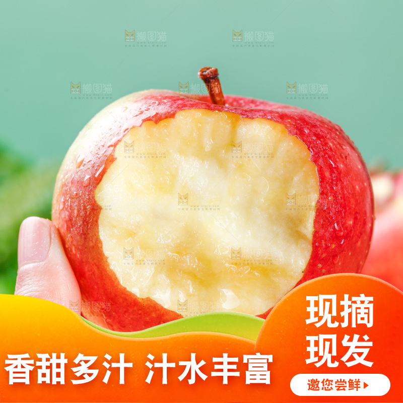 浅底上的国光苹果