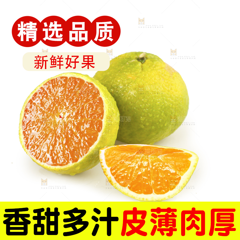 白底上的桔柚