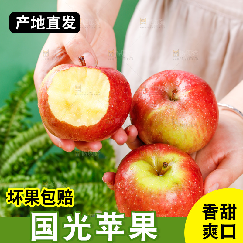浅底上的国光苹果