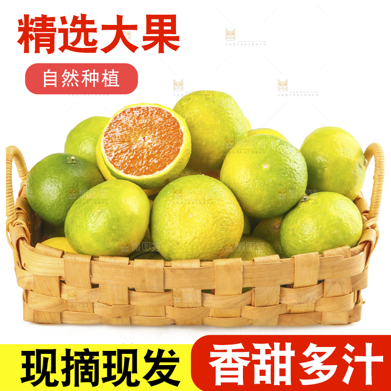 白底上的桔柚