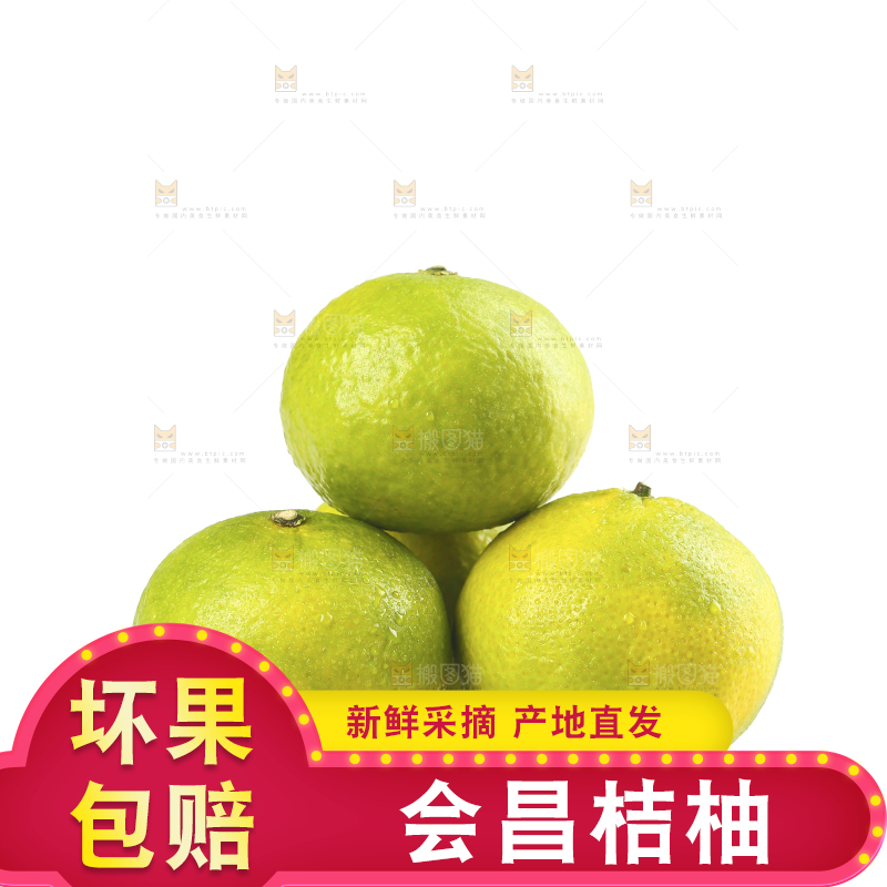 白底上的桔柚