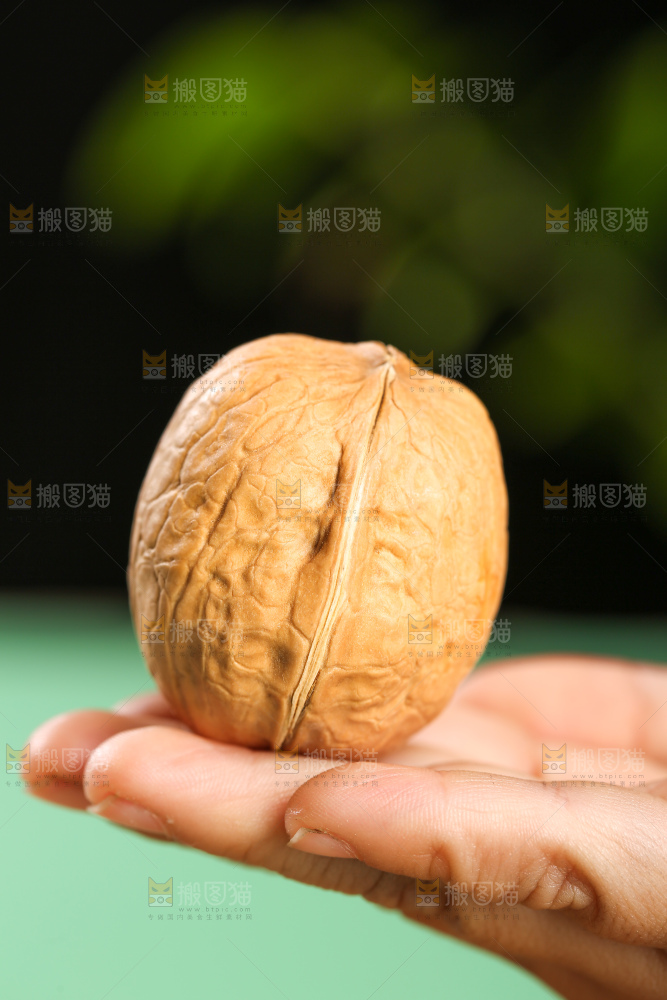 手里拿着核桃