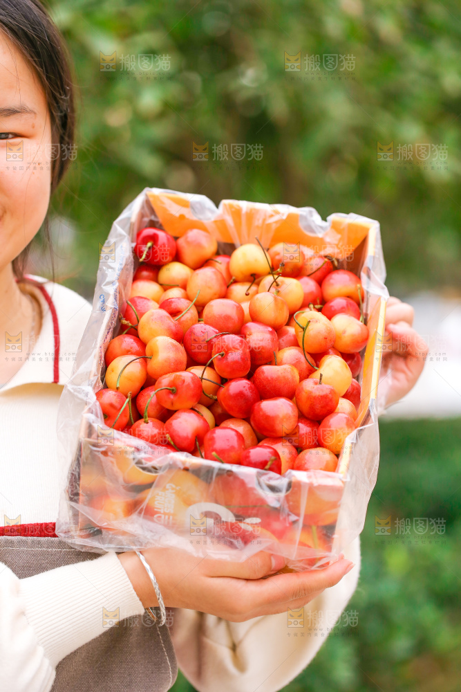 手里拿着黄金车厘子