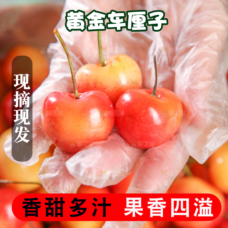 深底上的黄金车厘子
