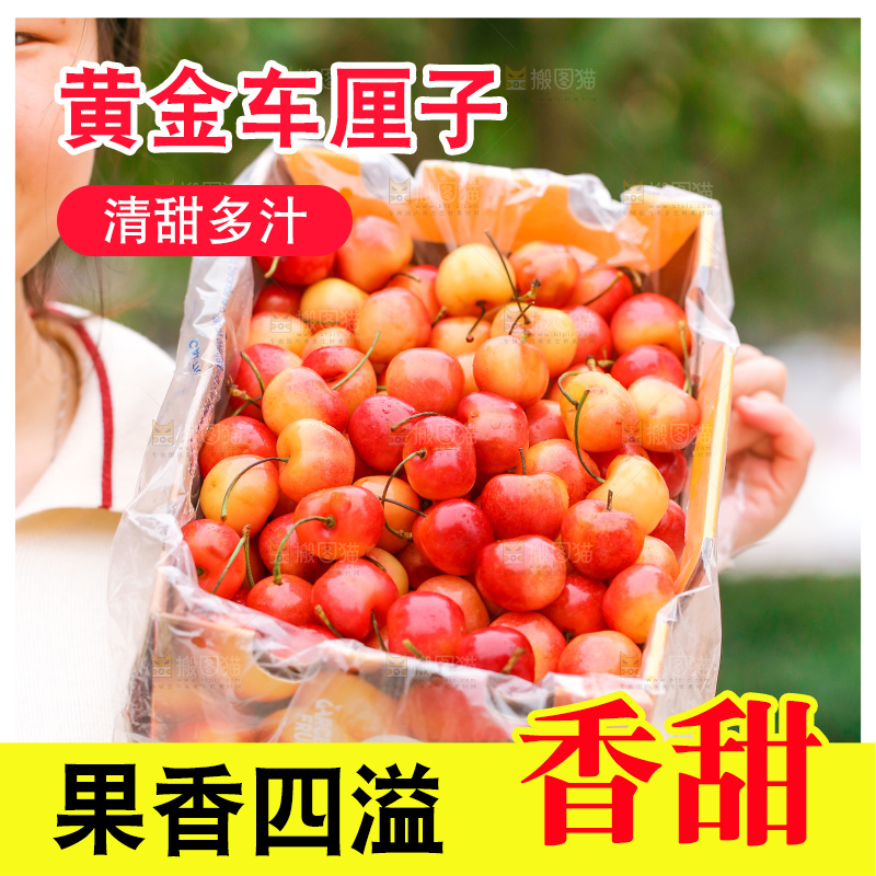 手里拿着黄金车厘子