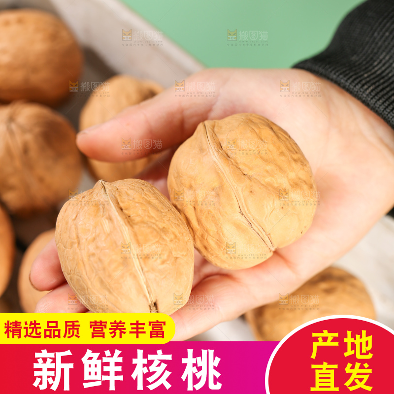 手里拿着核桃