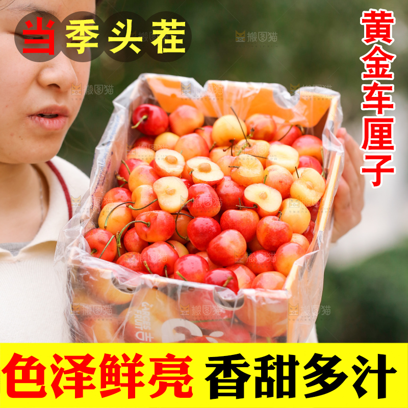 手里拿着黄金车厘子