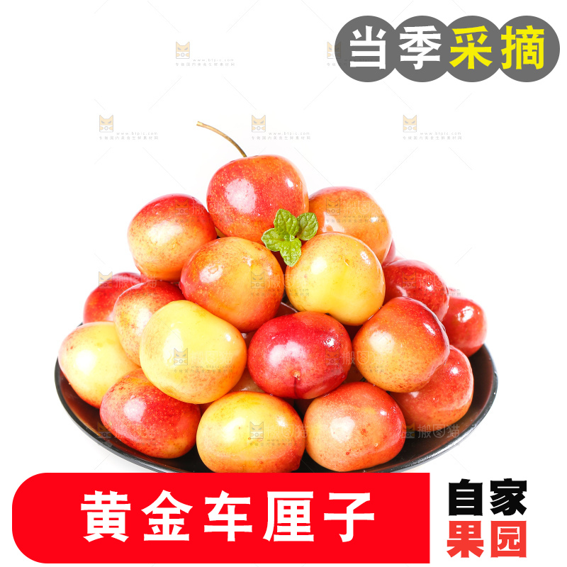 白底上的黄金车厘子