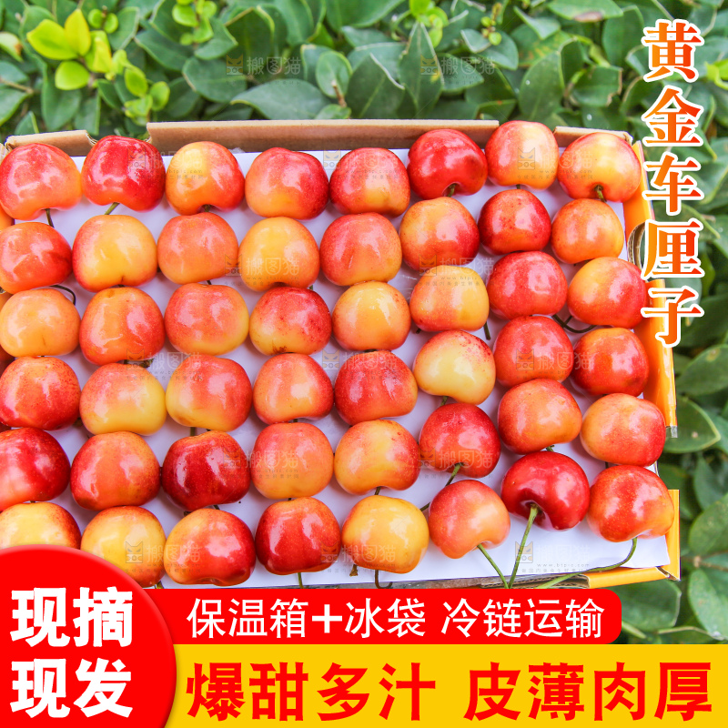 浅底上的黄金车厘子