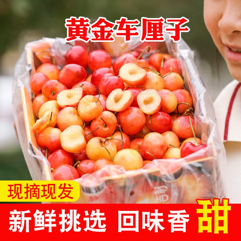 手里拿着黄金车厘子