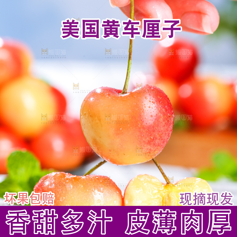 浅底上的黄金车厘子
