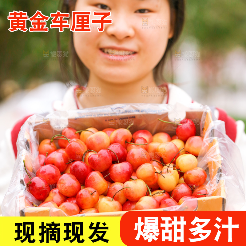 手里拿着黄金车厘子