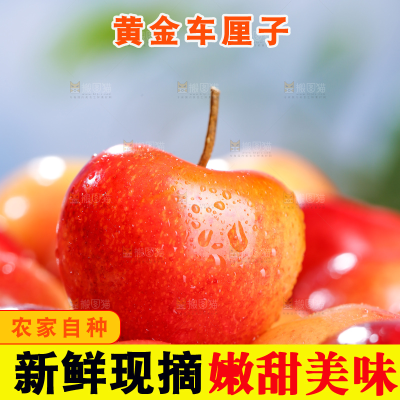 浅底上的黄金车厘子