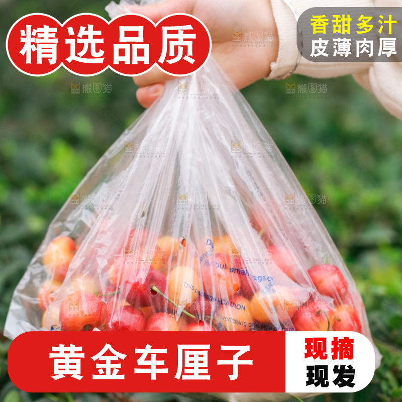 手里拿着黄金车厘子