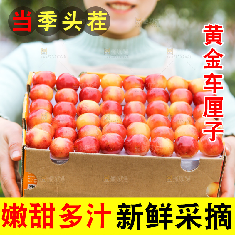 手里拿着黄金车厘子