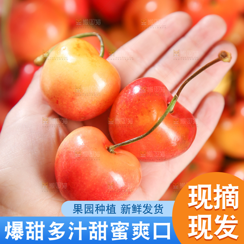 深底上的黄金车厘子
