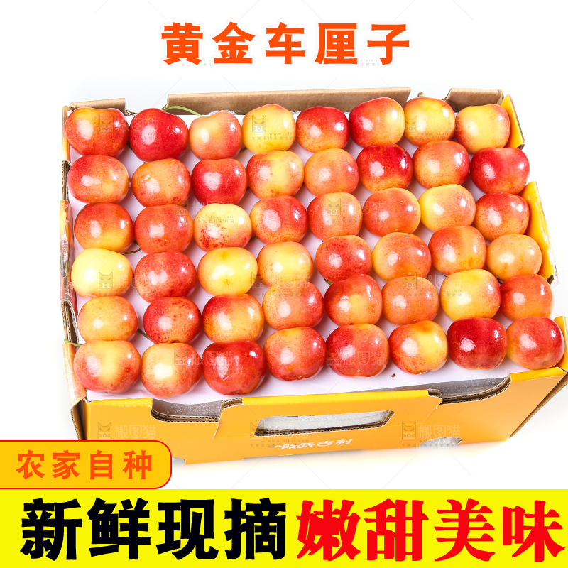 白底上的黄金车厘子