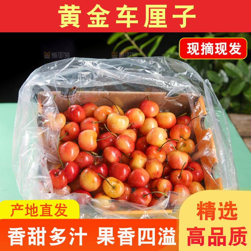 深底上的黄金车厘子