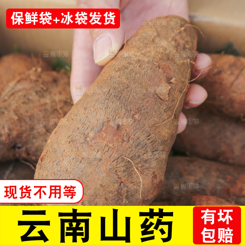 手里拿着云南山药